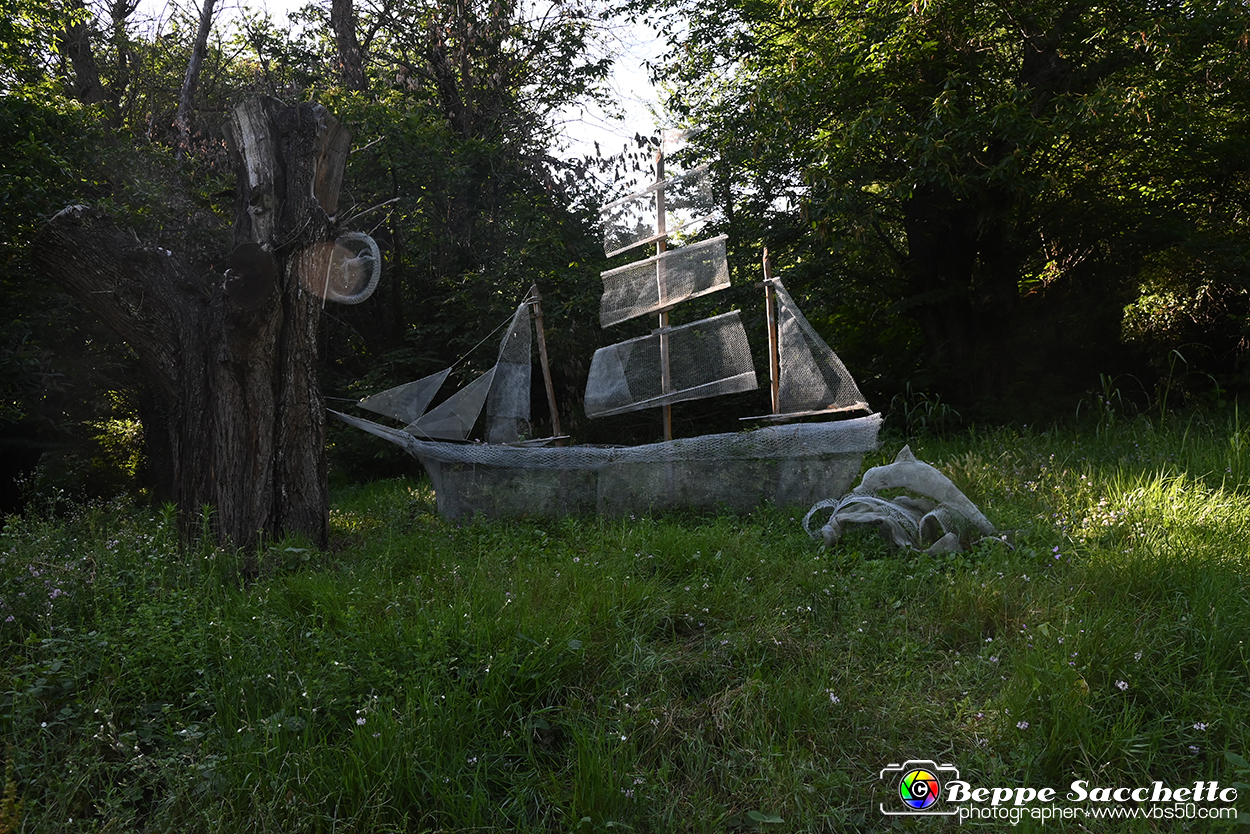VBS_4857 - Il bosco fatato - Montaldo Roero.jpg